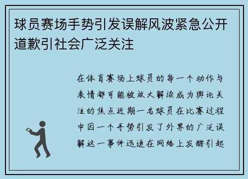 球员赛场手势引发误解风波紧急公开道歉引社会广泛关注 球员赛场手势引发误解风波紧急公开道歉引社会广泛关注